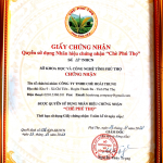 Hoai Trung “Tom Non” Premium Young Bud Tea (200g)