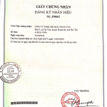 Hoai Trung “Tom Non” Premium Young Bud Tea (200g)