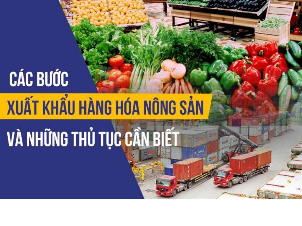 Cách xuất khẩu nông sản​ Việt Nam (Tìm khách hàng và tiêu chuẩn cần có)