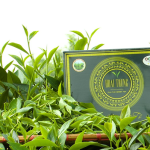 Hoai Trung Premium Jasmine Tea