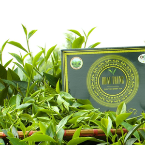 Hoai Trung Premium Jasmine Tea