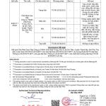 Hoai Trung Premium Jasmine Tea