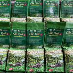 Hoai Trung Special Green Tea – 100g