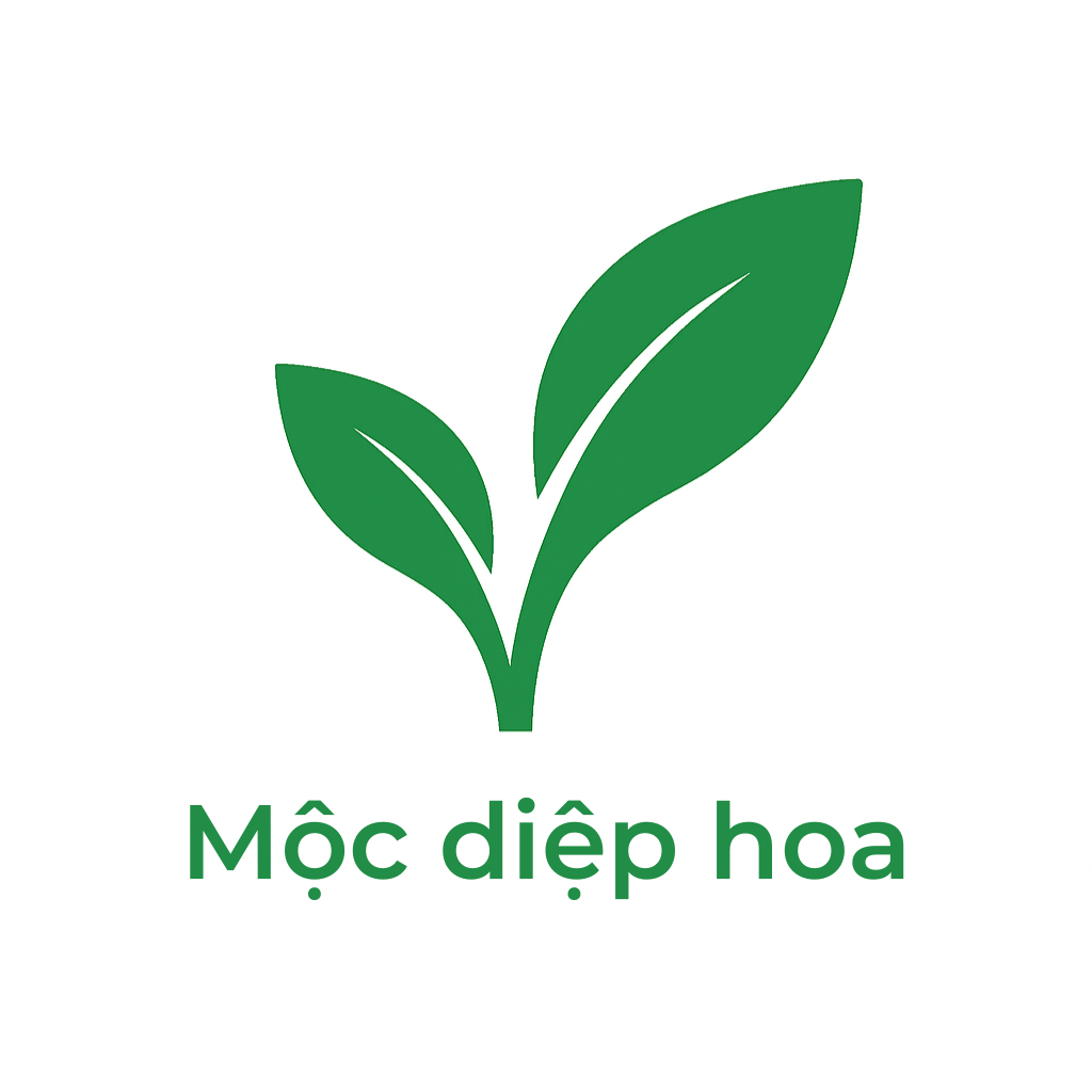 Công ty TNHH Ẩm Thực Tinh Hoa Bắc Bộ